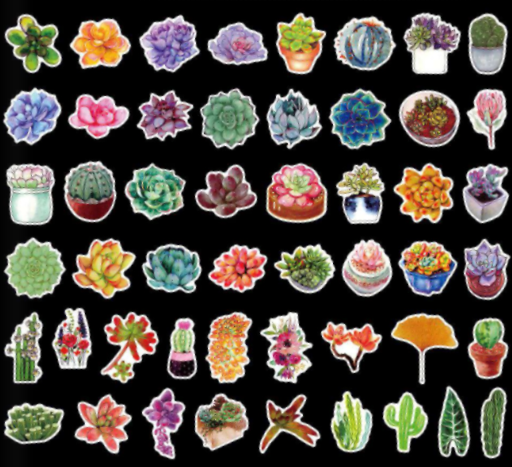Sticker Packs