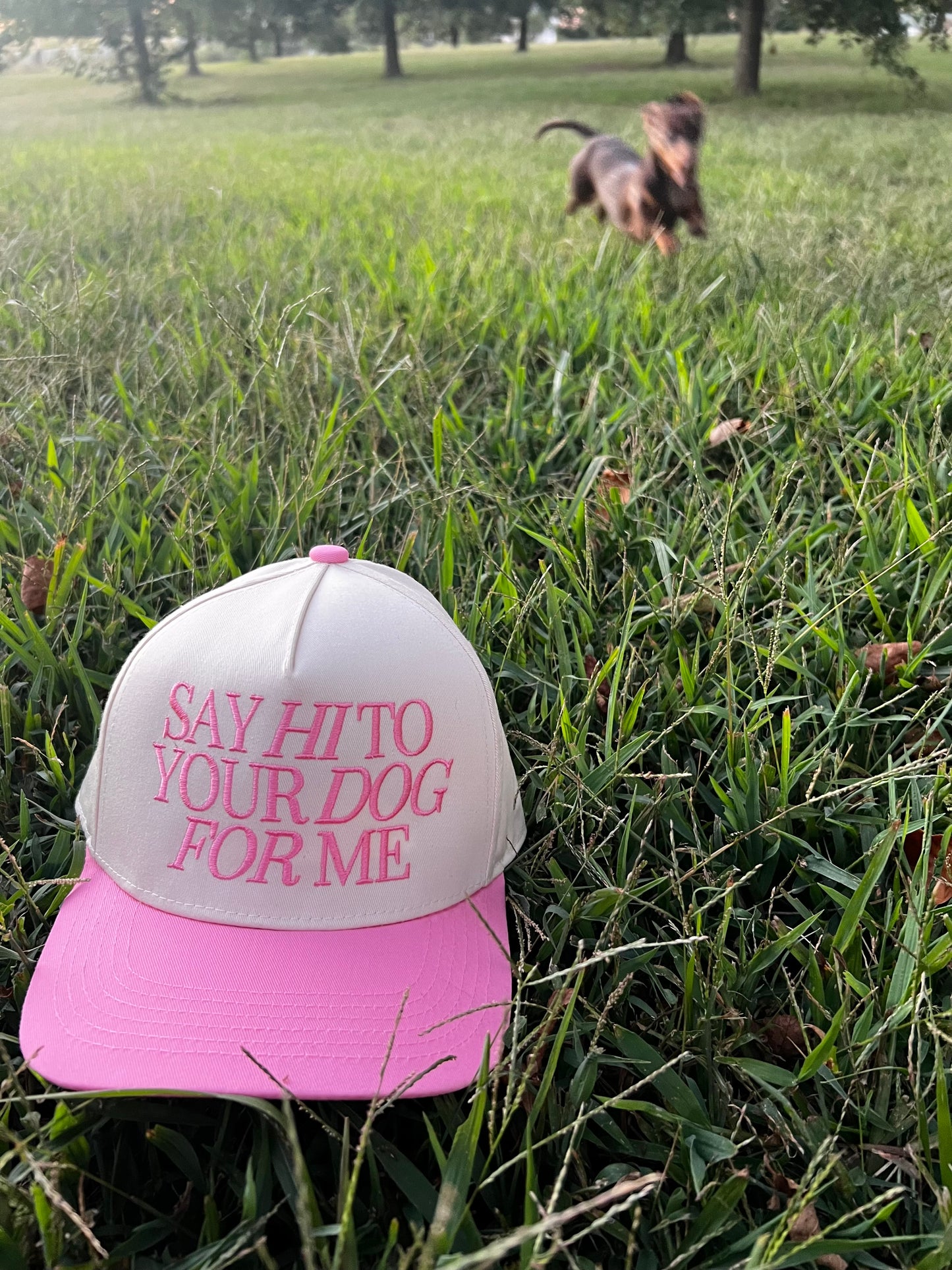 Say Hi To Your Dog For Me Dad Hat